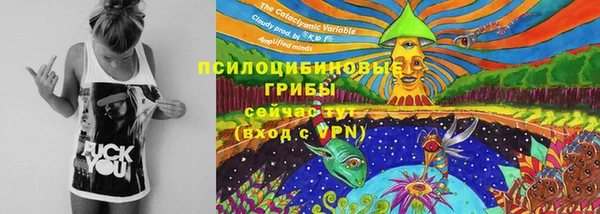 спайс Дмитровск